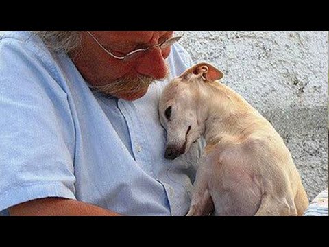 50 Moments when your dog shows love to you and warms your heart! ❤️