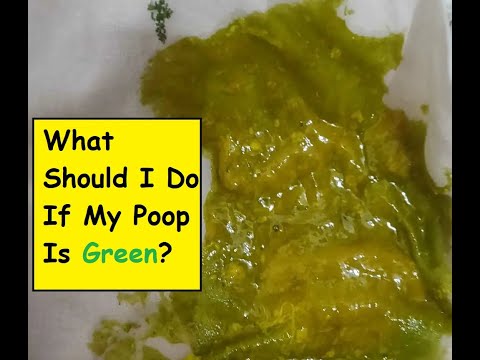 why is my dogs poop green and runny