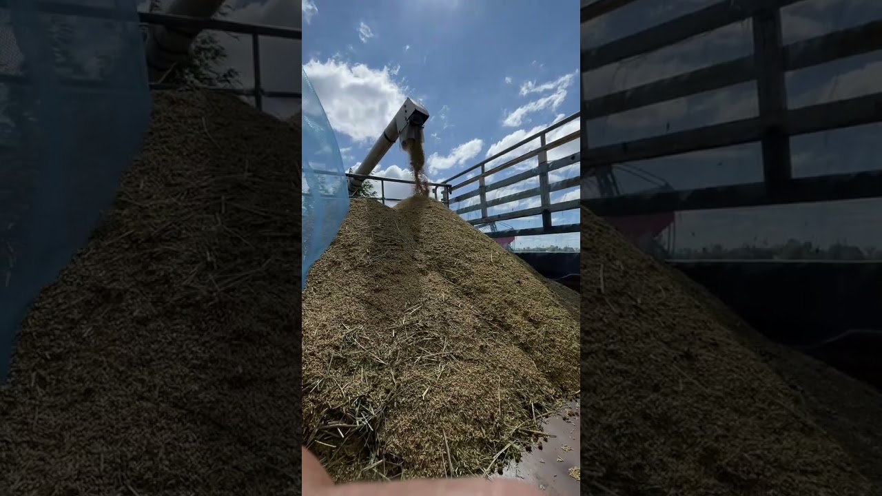 20 กุมภาพันธ์ 2569