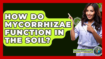 How Do Mycorrhizae Function In The Soil? - Earth Science Answers