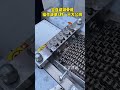 Bone chopper" "Bone cutter" "Fully automatic bone chopper"