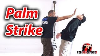 How to Palm Strike - Self Defense Tips
