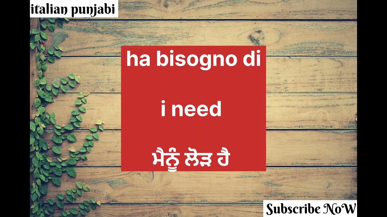 Learn🇮🇹Italian Language In Punjabi ||Sentences (DailyUses EasyWords) #italianlanguagelearning #study