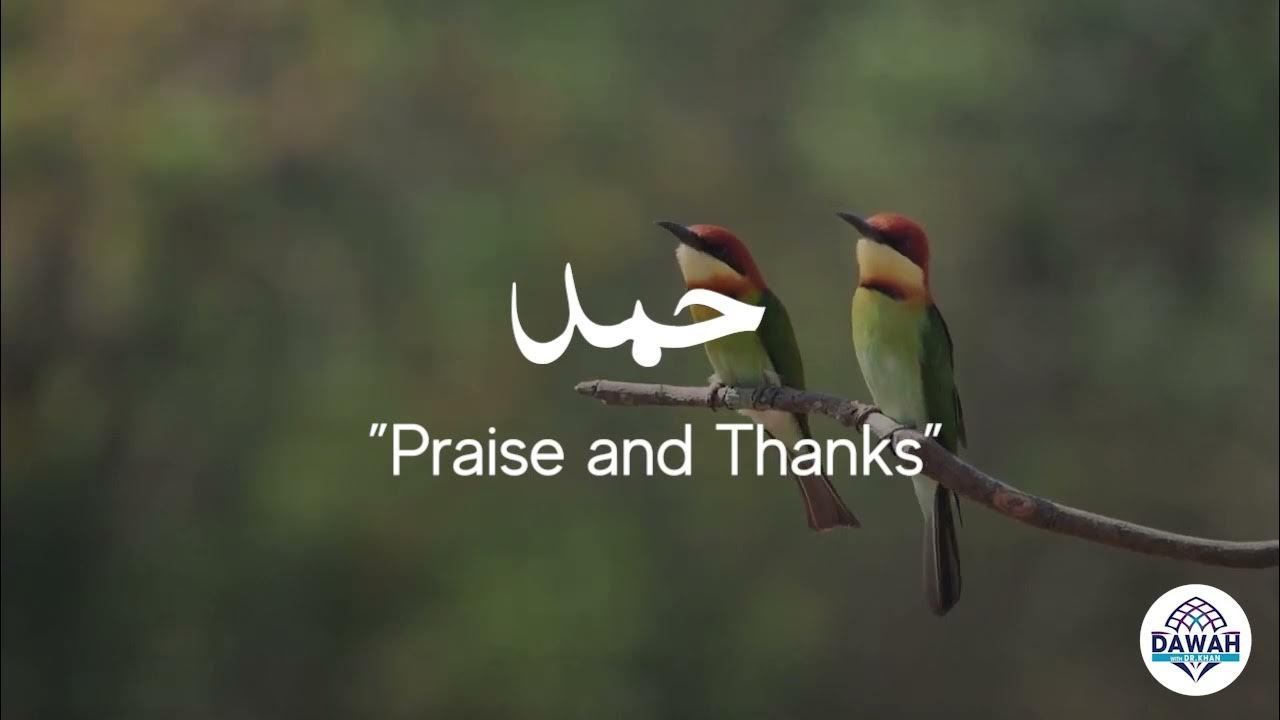 What Does Hamd Mean What Does Hamd Mean