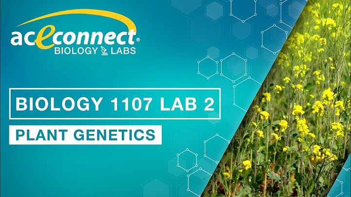 Biology 1107 Lab 2 || Plant Genetics