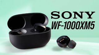 Trên tay tai nghe chống ồn chủ động Sony WF-1000XM5: nhỏ, gọn, nhẹ, chống ồn vô đối