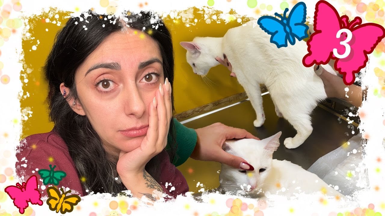 ΒΑΟ ΣΤΟ ΝΟΣΟΚΟΜΕΙΟ 🏥 | Vlogmas 3