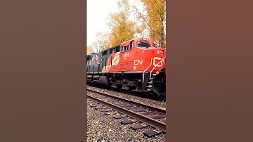 CN VETERAN UNIT ON DOUBLE STACK TRAIN #youtubeshorts