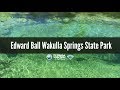 Firsthand florida fun edward ball wakulla springs state park