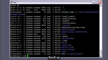 PuTTY Scroll