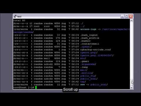 PuTTY Scroll