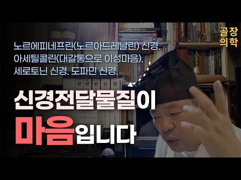 [골장의학53] 신경 전달 물질이(노르에피네프린(노르아드레날린) 신경 / 아세틸콜린(대갈통으로 이성마음) / 세로토닌 신경 / 도파민 신경)이 마음이다.