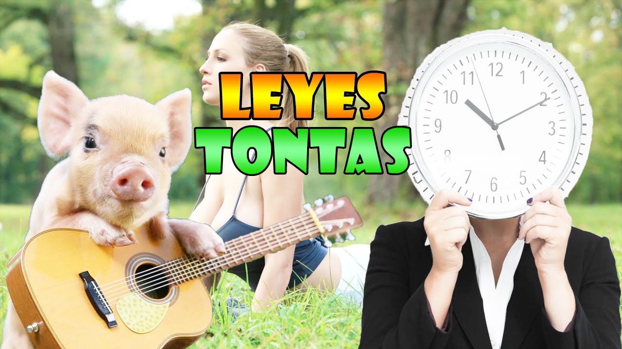 curiosidades que no sabias del cuerpo humano LAS 8 LEYES MAS ABSURDAS Y ESTUPIDAS DEL MUNDO