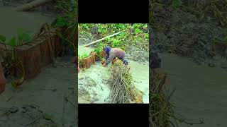 Gentelman Catching Fish By Hand.udh Mfngvu Irgh ,Bhnmo Dgfv Fkgjn Tihj Gklnm Ghjg Fgjgo .