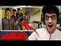 Hip-Hop Head's FIRST TIME Hearing THE ANIMALS - "The House of the Rising Sun 1964" (REACTION!!)