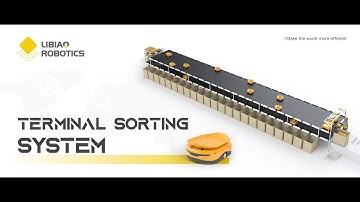 Libiao Robotics Terminal Table Automatic Sorting System