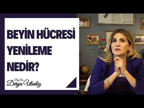 Beyin Hücresi Yenileme (Nöroplastisite) Nedir?