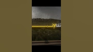 تلاوة رائعة من القرآن الكريم #قرآن #اليمن #السعودية #العراق #الجزائر #اكسبلور