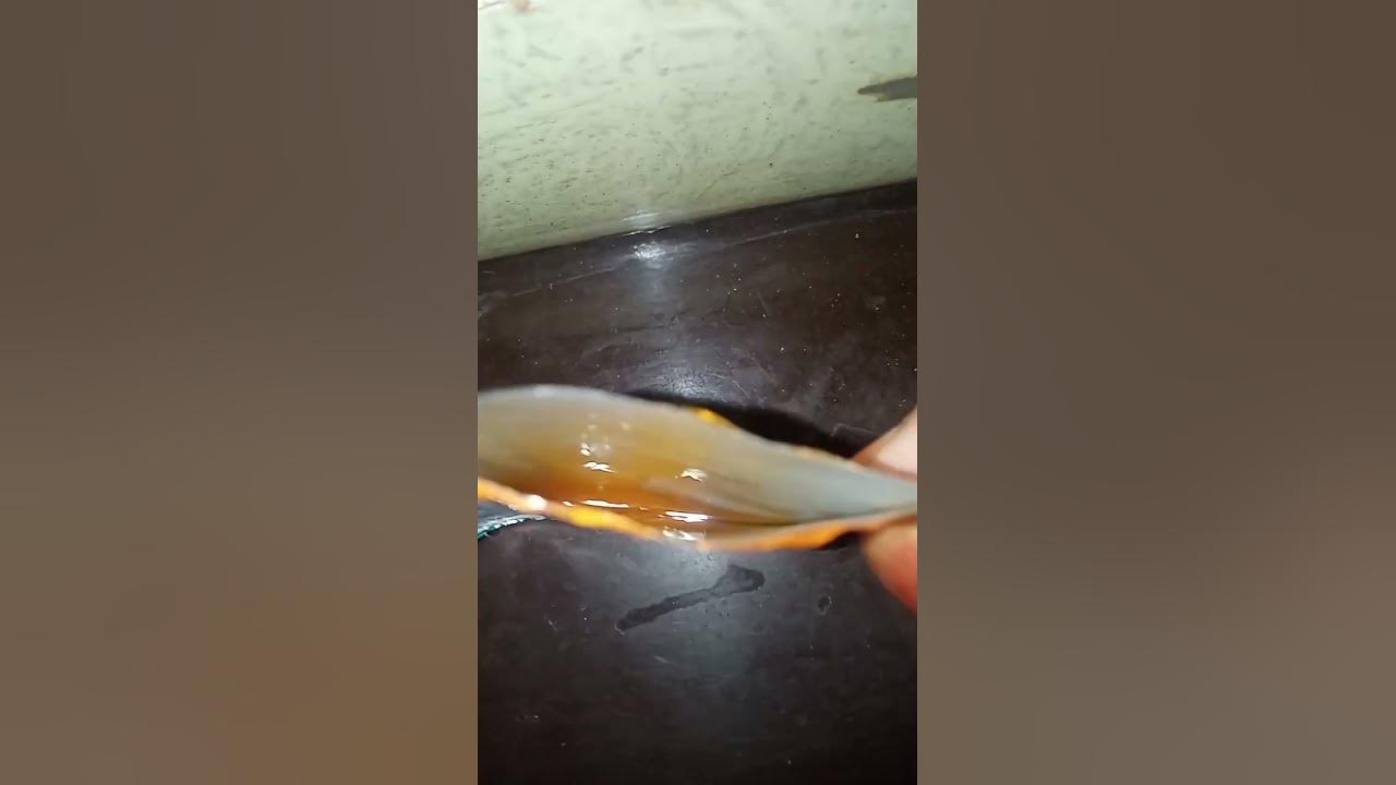 Himalaya Peel Off Mask Review viral youtubeshorts vlog YouTube himalaya-peel-off-mask-review-viral-youtubeshorts-vlog-youtube