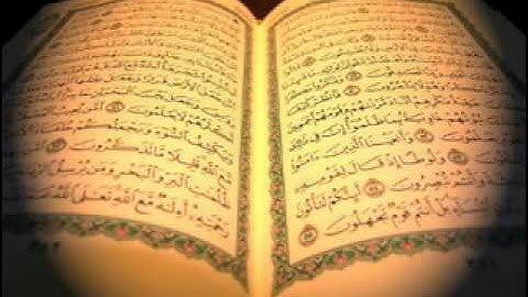 سورة الطلاق / صلاح البدير
