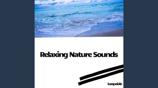 Subtle Sleep Waves, White Noise (Loopable)