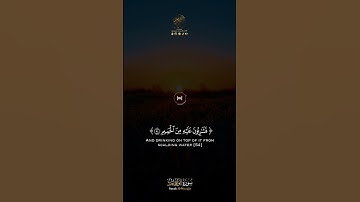 - تلاوة خاشعة للشيخ ياسر الدوسري من  سورة الواقعة ( ثم إنكم أيها الضالون المكذبون ) 🌹