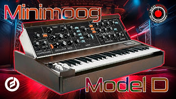 Minimoog Model D 2022 - Explorations