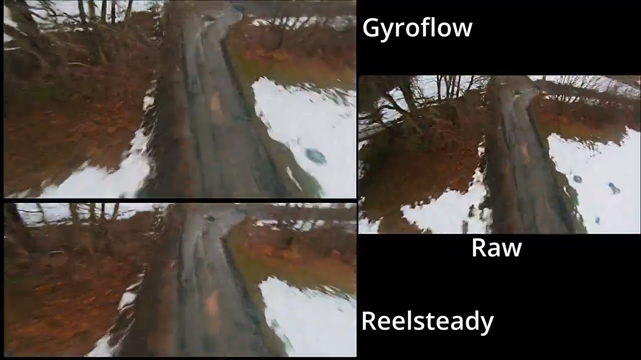 Reelsteady vs Gyroflow mit GoPro Hero 6