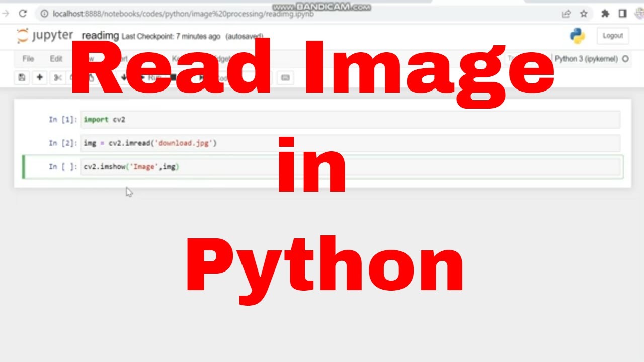 Python image processing tutorial for beginners / Read image in Python ...