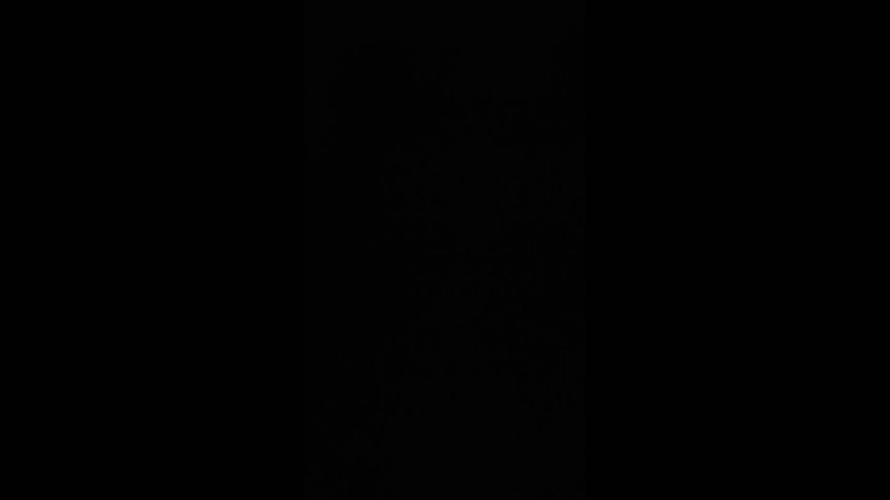 Shiloh dynasty - Screaming louder (guitar cover)#shorts