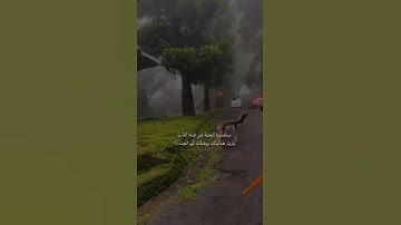 اللي يعرف اسم القارئ يكتب بالله🤍  #explore #quran #قرآن