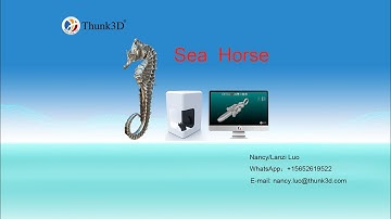 Sea horse scan with Thunk3D Jewelry 3D scanner JS3000 accuracy 0.01mm