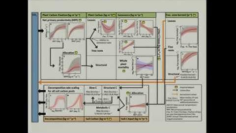 From Big Data to Big Decisions