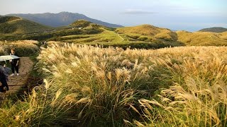 [台北旅遊]陽明山知名景點擎天崗秋芒讓你置身於一片金黃色 ...