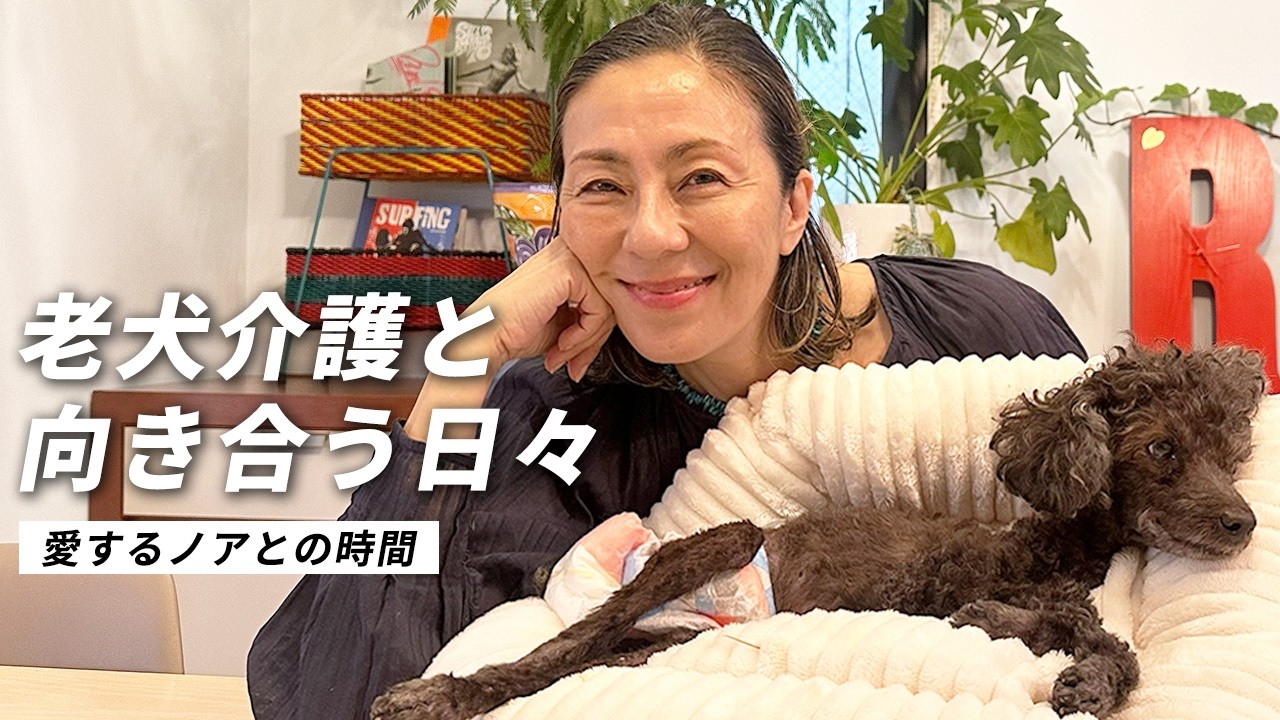 老犬介護のリアル