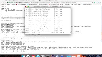 Nginx Admin Agent installation tutorial