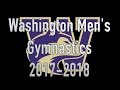 20172018 washington mens gymnastics team