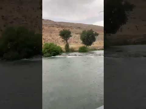 معقول تشتي ب آب الفيديو من نهر العاصي الهرمل