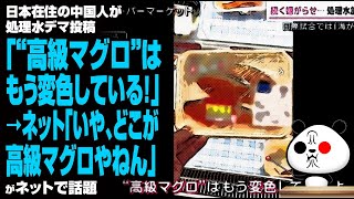 日本在住の中国人が処理水デマ投稿「“高級マグロ”はもう変色している！」→ネット「いや、どこが高級マグロやねん」が話題