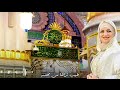 روحي هايمة في المدينة كلماتي والحاني وصوتي داليا عمارة 