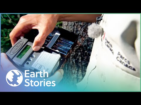 HOW MODERN TECHNOLOGY SAVED A GREAT LAKES HABITAT | A PARK FOR ALL SEASONS
