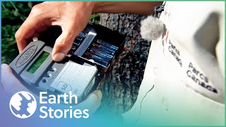 How Modern Technology Saved A Great Lakes Habitat | A Park For All Seasons