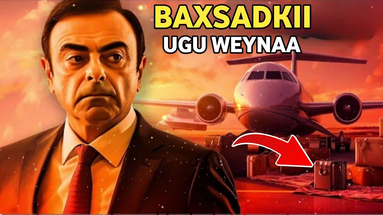 Sanduuqaan dhexdiisa ayuu ugasoo baxsaday Airport-ga Japan || Dhacdo dunida ka yaabisey | Qiso