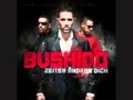 Bushido - 23 Stunden Zelle HQ