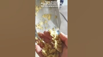 Automatic Ginger Juice Extracting Machine