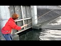 ハゼ釣りしてたら、緊急事態が発生!!現場に直行すると・・・。