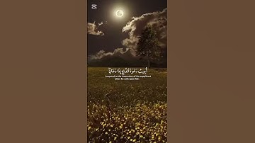 قران كريم #المصحف #اكسبلور