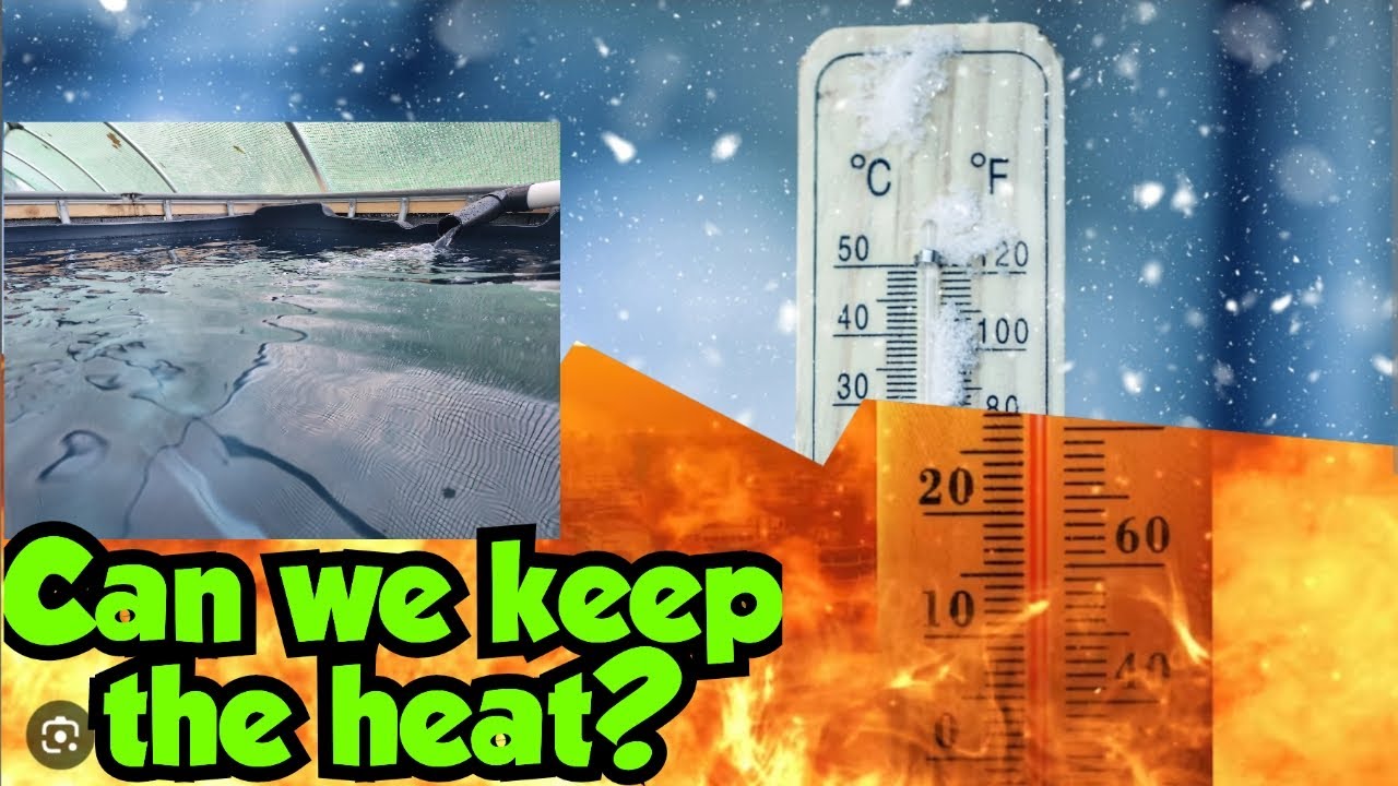 Testing the insulation - Koi IBC Tote Build