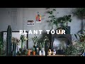 【PLANT TOUR】 サボテン・多肉・塊根植物編 | 植物と暮らす | 初心者 | 観葉植物 | インテリア