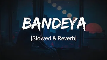 Bandeya - Arijit Singh [Slowed+Reverb] | Dil Juungle song | Tunemusic